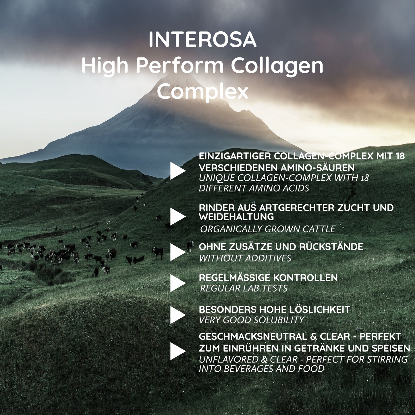 INTEROSA High Perform Collagen Complex 345 g/115 g