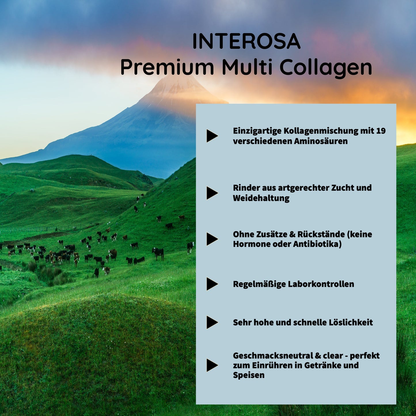 INTEROSA Premium Multi Collagenpulver Testgröße 50 g