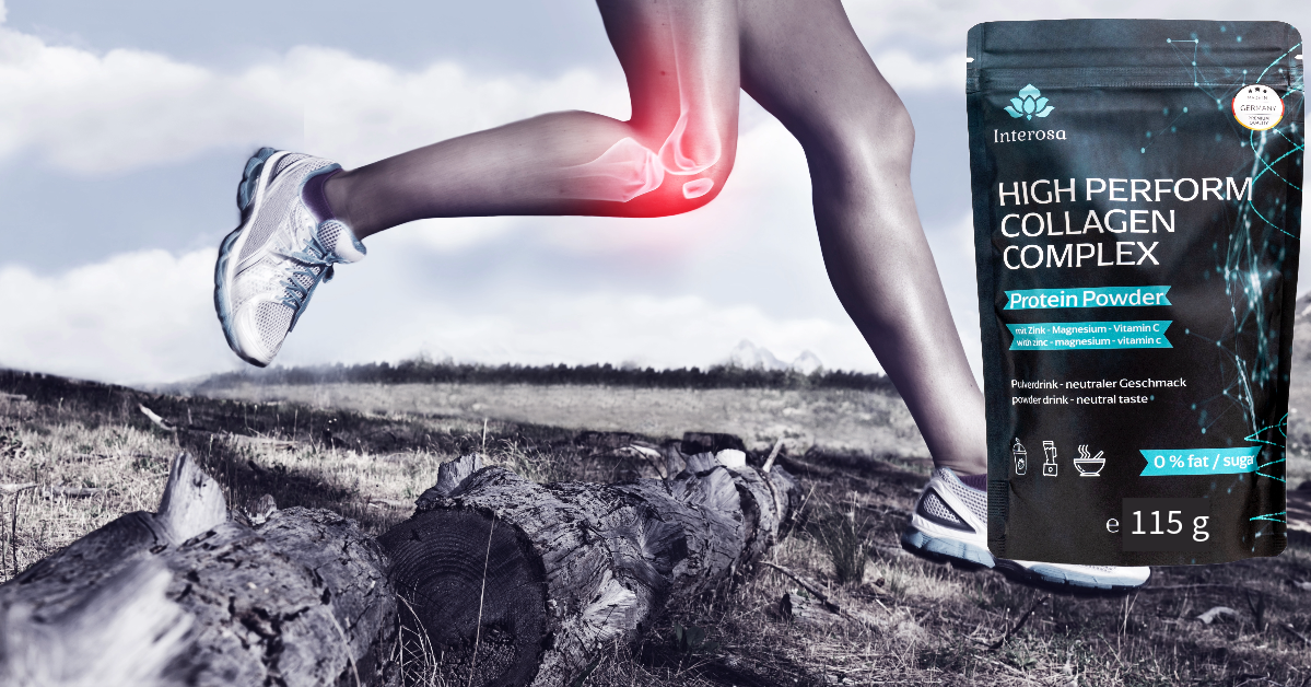 Power-Bundle Collagen 1