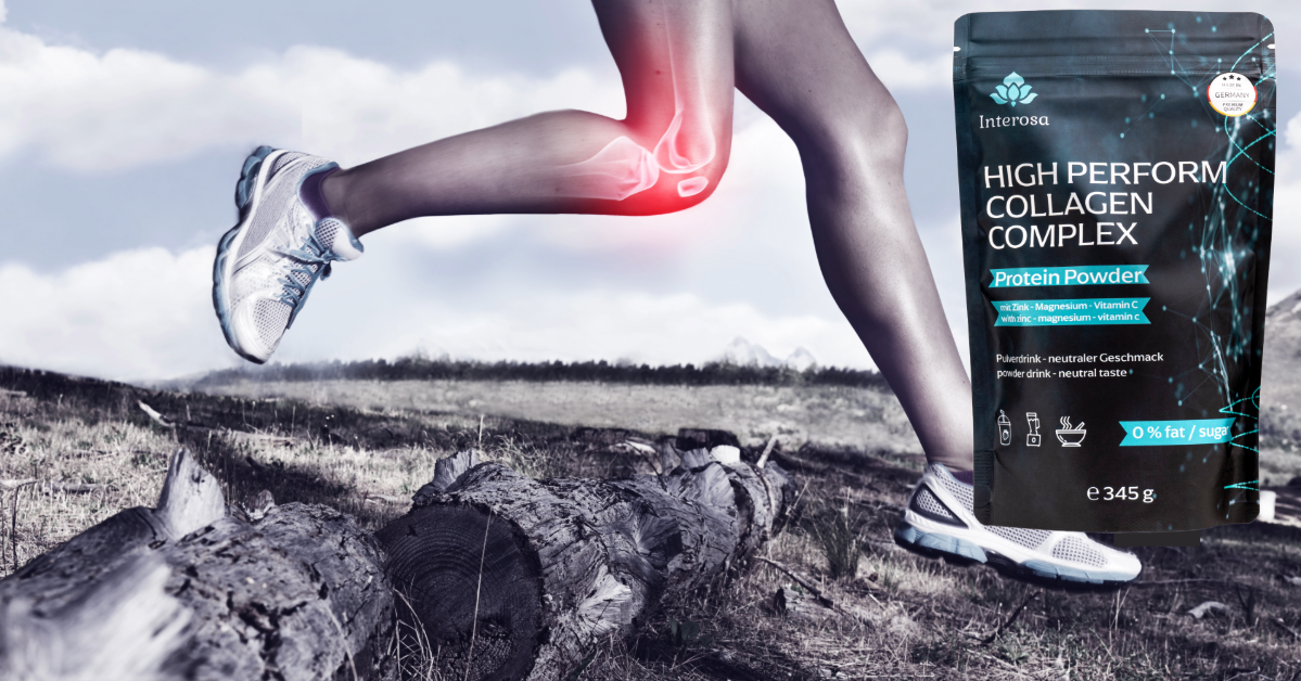 Power Bundle Collagen 2